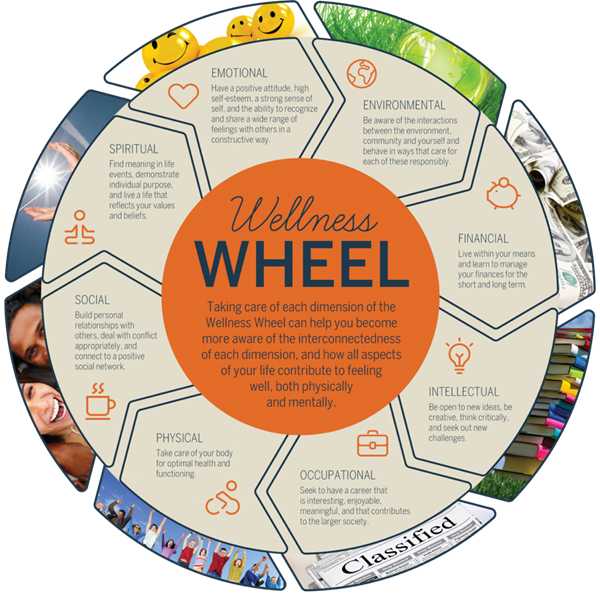 HS Wellness Wheel 